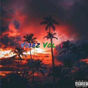 TYS Present : Vibez Vol. 1 (Explicit)