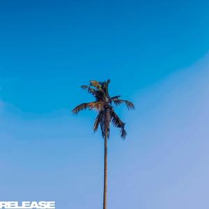 BIG LOVE (feat. Brother Mikey, Ryan Kynd, Devin Bender & Dylan Freaken Ross) (Remix)
