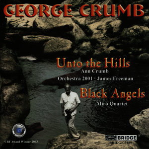 Ann Crumb - Black Angels: IX. Lost Bells - Echo