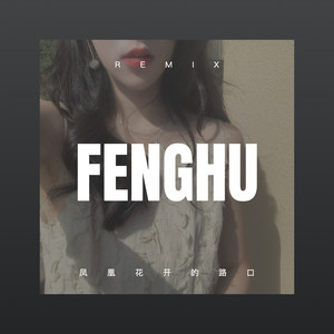 此时已莺飞草长爱的人正在路上 (Remix)