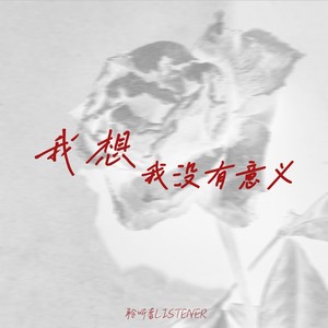 我想我没有意义