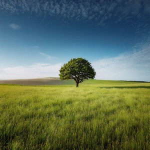 Relaxation Ready - Resting At The Heart Of Sound