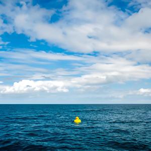 reality and make believe