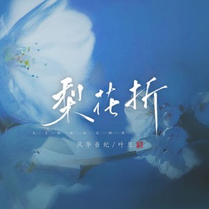 梨花折 (DJ名龙版)封面