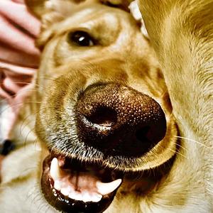 Ruthless(Maybe) (Explicit)