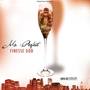 Mr. Perfect (Explicit)