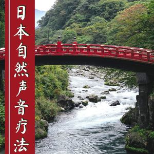 日本自然声音疗法: 大自然音乐助您入睡, 鸟类的歌唱, 森林的声音