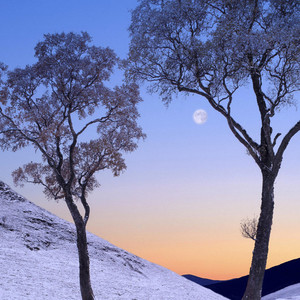 热恋冰淇淋 (官方正版)