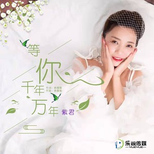 等你千年万年封面