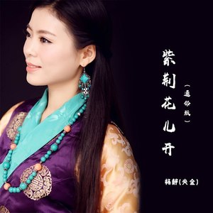 紫荆花儿开(通俗版)紫荆花怡养小镇宣传歌曲