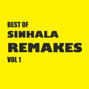 Best of Sinhala Remakes Vol. 1 (Explicit)