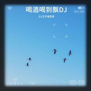 喝酒喝到飘DJ