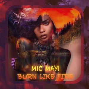 Burn Like Fire (Explicit)