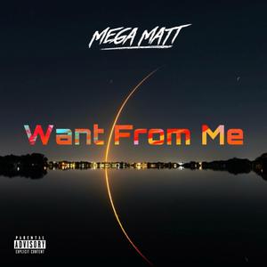 Want From Me (Explicit)