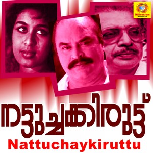 Veena Maniveena (From "Nattuchaykiruttu")