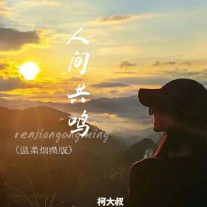 人间共鸣 (温柔烟嗓版)封面