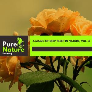 A Magic of Deep Sleep in Nature, Vol. 4