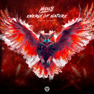 Energy Of Nature (Rushcore 2025 Anthem)