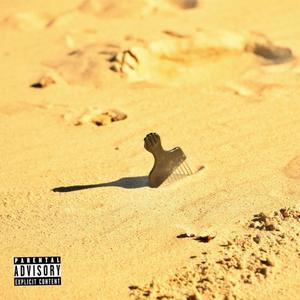 Bag A Bag (feat. CoolFreddyGeez) (Explicit)