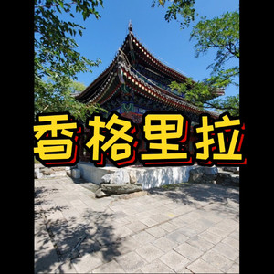 一头偶像 (绝地版)