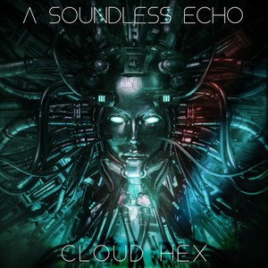 A Soundless Echo