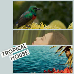 Tropical House