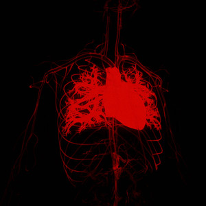 Aorta (Explicit)
