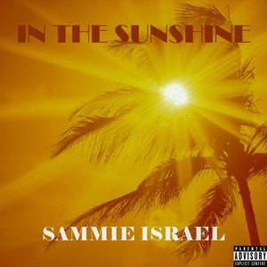 In the Sunshine (Explicit)