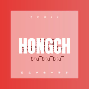 巴昊然 - 红尘来去一场梦 (DJ版)