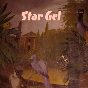 Star Gel