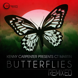 Butterflies (DJ Mfr Fly High Mix)