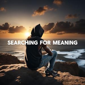 Searching For Meaning (Explicit)