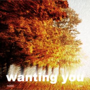 Wanting You (feat. Cxrter)