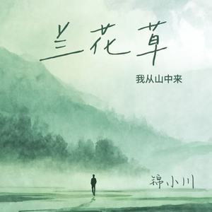 兰花草（我从山中来）