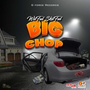 big chop (feat. 1Gforce) [Explicit]