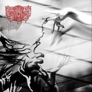 Let Me Go (Explicit)