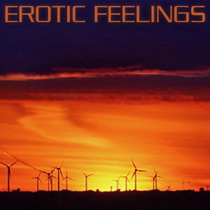 Private Chillout Lounge (Erotic Feelings)