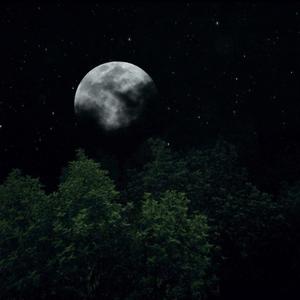 Nightingale(feat. Clare Vandeleur, Chris Letcher & Michael Goddard)