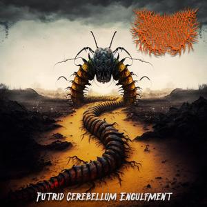 Putrid Cerebellum Engulfment