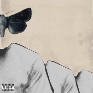 Some Of Us Hover (feat. Monae Marleau) (Explicit)