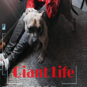 Giant Life (Explicit)