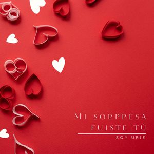 Mi Sorpresa Fuiste Tú (Cover)