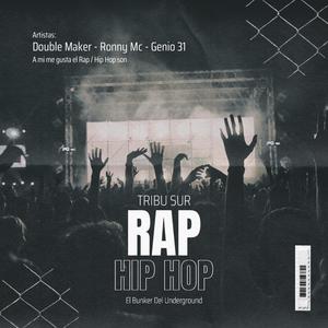 Rap / Hip Hop (feat. Mic Ronny & Gnio 31) (Explicit)