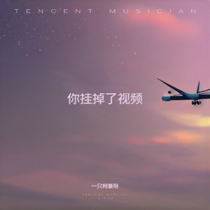 一只柯豪呀 - 你挂掉了视频