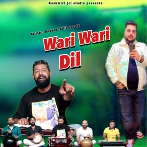 Wari Wari Dil