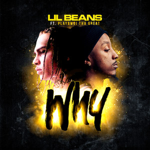 Why (Explicit)