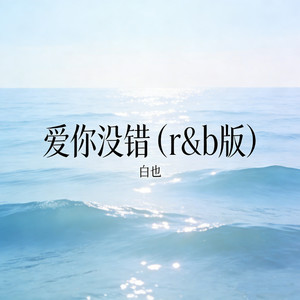 爱你没错 (r&b版)封面
