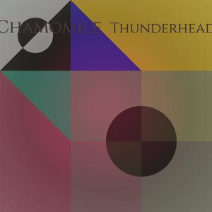 Chamomile Thunderhead