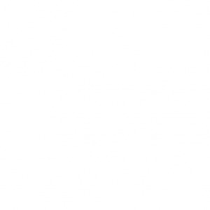 未给姐姐递出的信