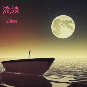 随心而行 - 王格蜗封面